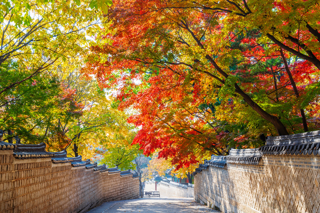 8983-tour-south-korea-visit-kimchi-on-the-leaves-change-color-5-days-xj