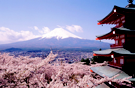 tour-japan-5-days-2-nights-tg