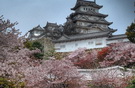 tour-japan-shinjuku-ueno-park-mineral-bath-wasabi-farm-osaka-castle-7-days-tg