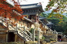 tour-korea-full-package-5-days-3-nights-tg