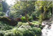 tour huay kaew waterfall chiang mai