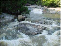 tour mae klang waterfall chiang mai 2