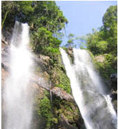 tour mok fa waterfall chiang mai 2