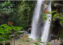 tour mok fa waterfall chiang mai
