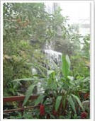 tour queen sirikit botanical garden chiang mai