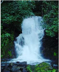 tour siri phom waterfall chiang mai