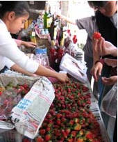 tour strawberry lottery shops chiang mai