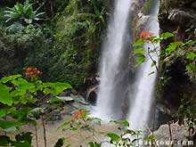 tour-mokfa-waterfall-chiang-mai