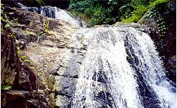 tour dan dong waterfall chiang rai