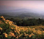 tour doi hua mae kham chiang rai 3