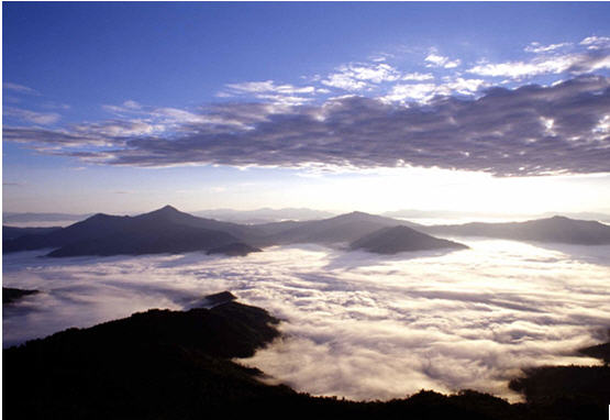 tour doi pha tang chiang rai 3