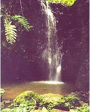 tour doi sang waterfall chiang rai