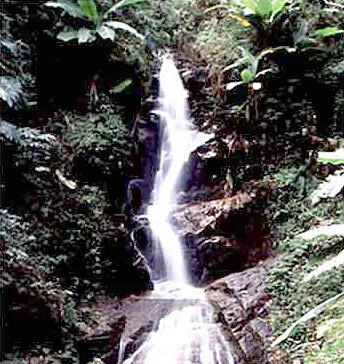 tour heu mae kam forest park chiang rai