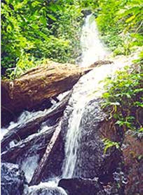 tour huai tat waterfall chiang rai 2