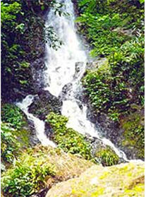 tour huai tat waterfall chiang rai 3