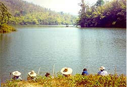 tour mae ko luang reservoir chiang rai