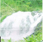 tour pa tung waterfall chiang rai