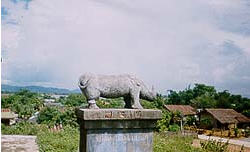 tour phra that chom pok chiang rai