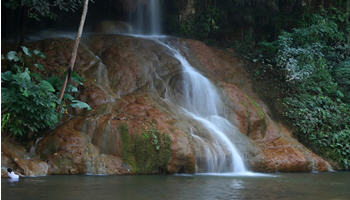 tour phu sang national park chiang rai