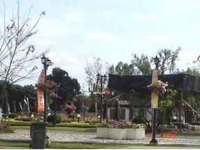 tour suan tung and chom chiang rai 2