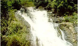 tour tat kwan waterfall chiang rai
