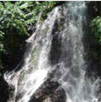 tour tat mok waterfall chiang rai