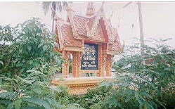 tour wat ngew mai chiang rai