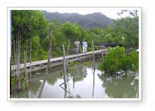 tour ban tong yee peng krabi