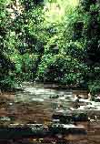 tour huay sade waterfall krabi