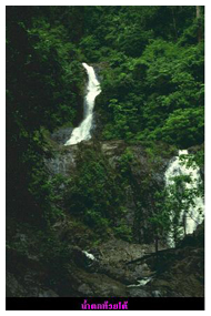 tour khao pha nom ben ja nationalpark krabi 3