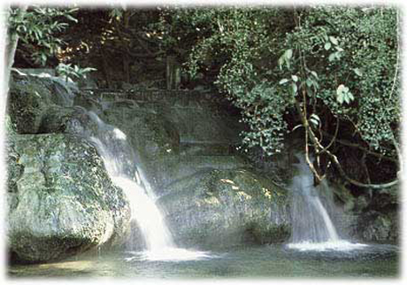 tour klong tom hot waterfall krabi 2