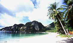 tour ko phi phi don krabi