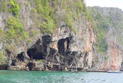 tour ko phi phi lay krabi 3