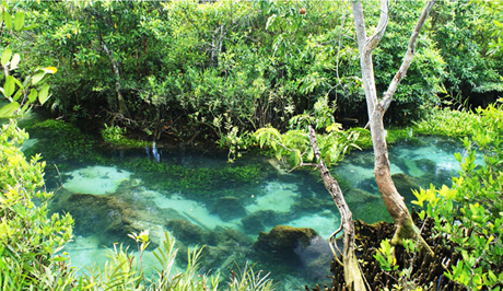 tour pa po thapom kong song nam krabi