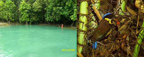 tour wildlife sanctuary khao pra bang kram krabi