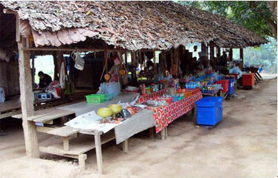 tour ban nam pieng din mae hong son