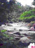 tour aikaew waterfall nakhon sri thammarat