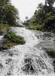 tour sanha waterfall nakhon sri thammarat