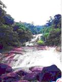 tour tha phae waterfall nakhon sri thammarat