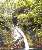 tour yhong waterfall nakhon sri thammarat
