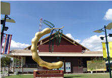 tour art culture metropolitan phetchabun