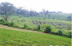 tour chana hin rong phetchabun