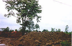 tour mineral dolomai phetchabun