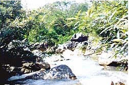 tour noom sao waterfall phetchabun