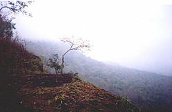 tour pha klang dong phetchabun
