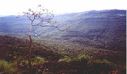 tour pha sawan phetchabun