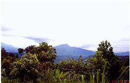 tour shortcuts conquer phukradueng phetchabun