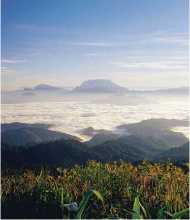 tour tat mok national park phetchabun