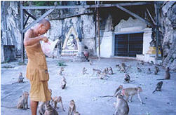 tour tham kaew psychic phetchabun