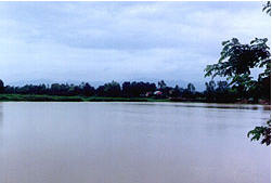 tour wat nong raerai reservoirs phetchabun